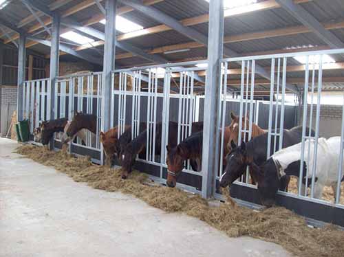 Paardenstal kopen? Let op deze 3 dingen!