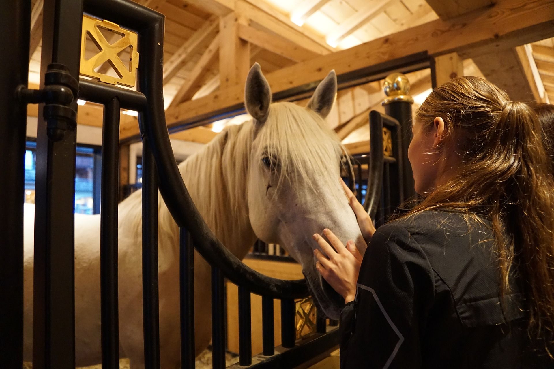 Stal Tralie Paard Verzorger
