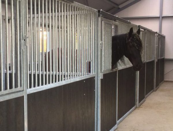 Paardenstal dichte deur